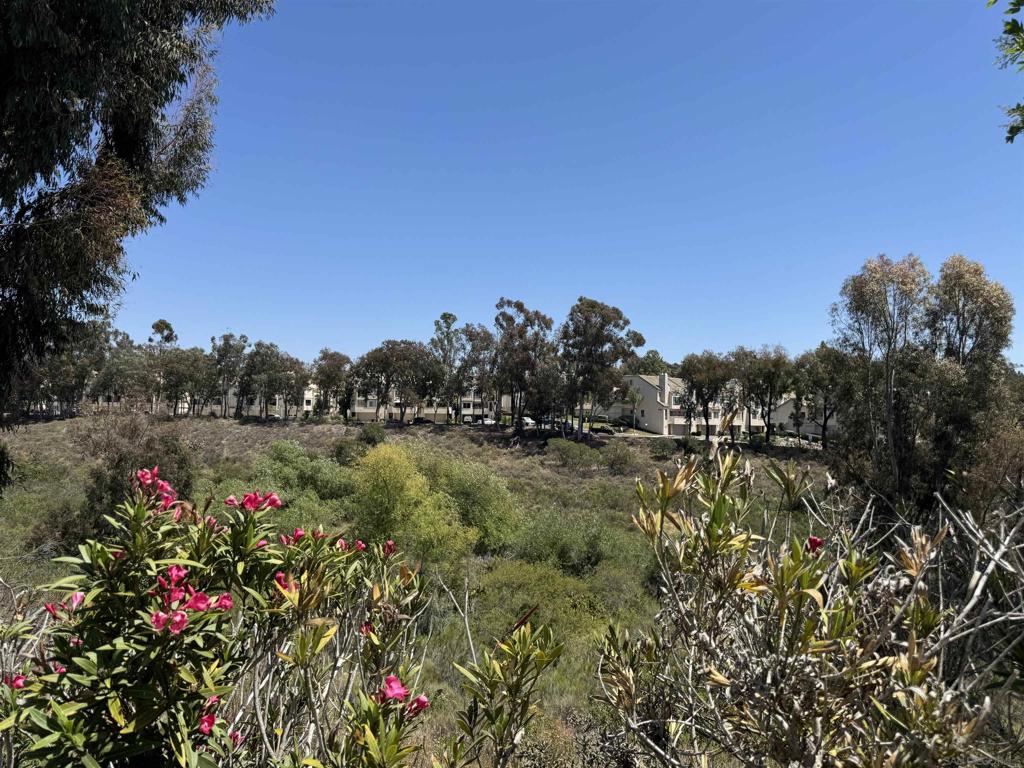 5687 Menorca Dr Property Photo 3