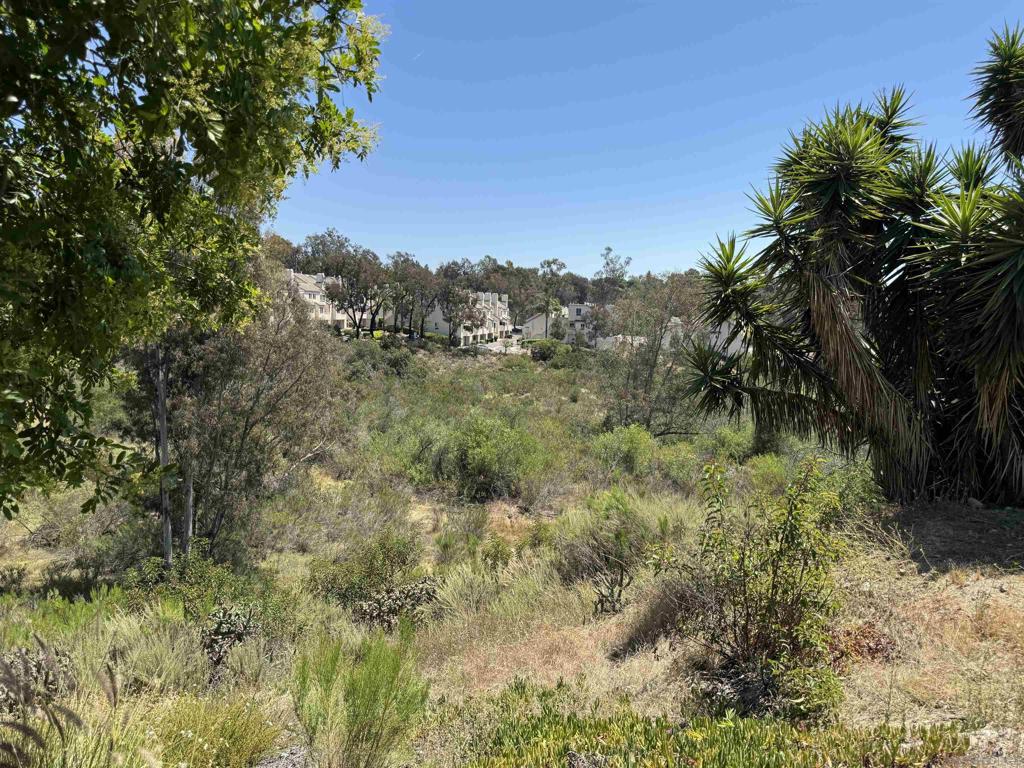 5687 Menorca Dr Property Photo 4