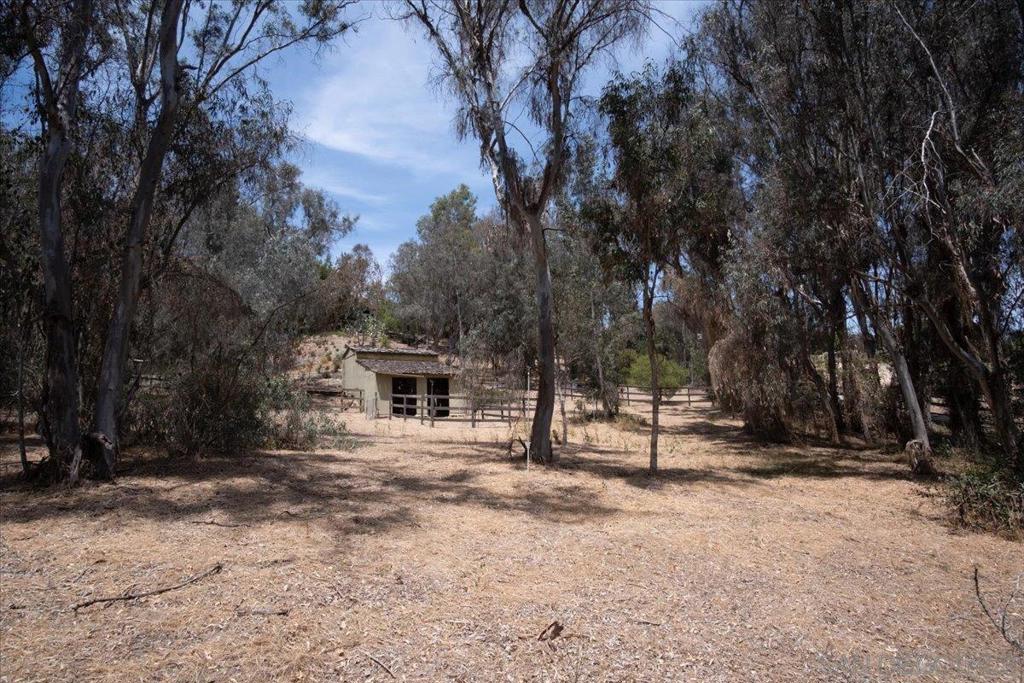 4905 El Arco Iris Property Photo 27