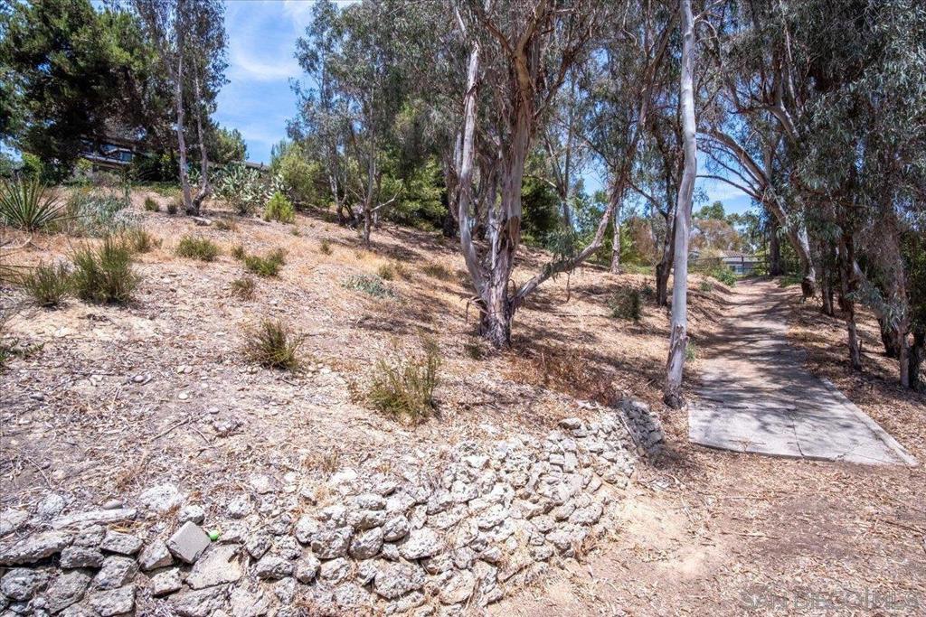 4905 El Arco Iris Property Photo 29