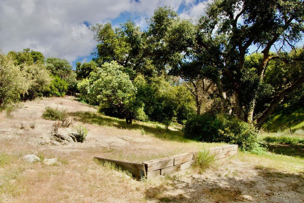 32137 Cerrada Del Coyote Property Photo 34