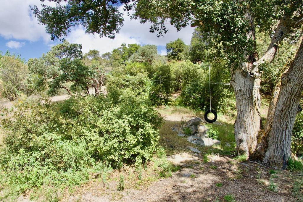 32137 Cerrada Del Coyote Property Photo 35