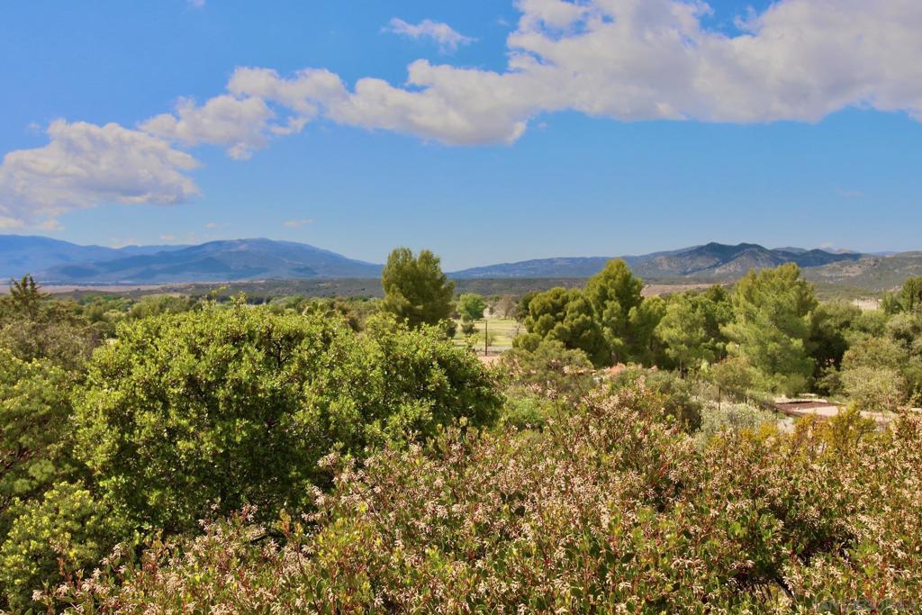 32137 Cerrada Del Coyote Property Photo 40