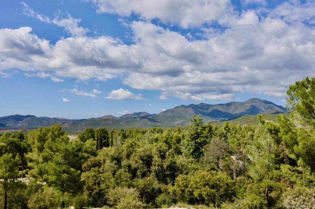 32137 Cerrada Del Coyote Property Photo 41