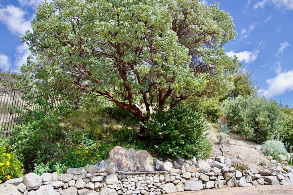 32137 Cerrada Del Coyote Property Photo 42