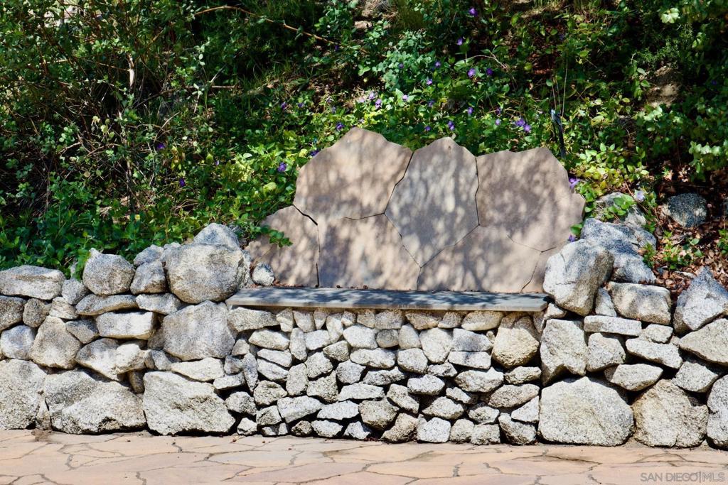 32137 Cerrada Del Coyote Property Photo 43