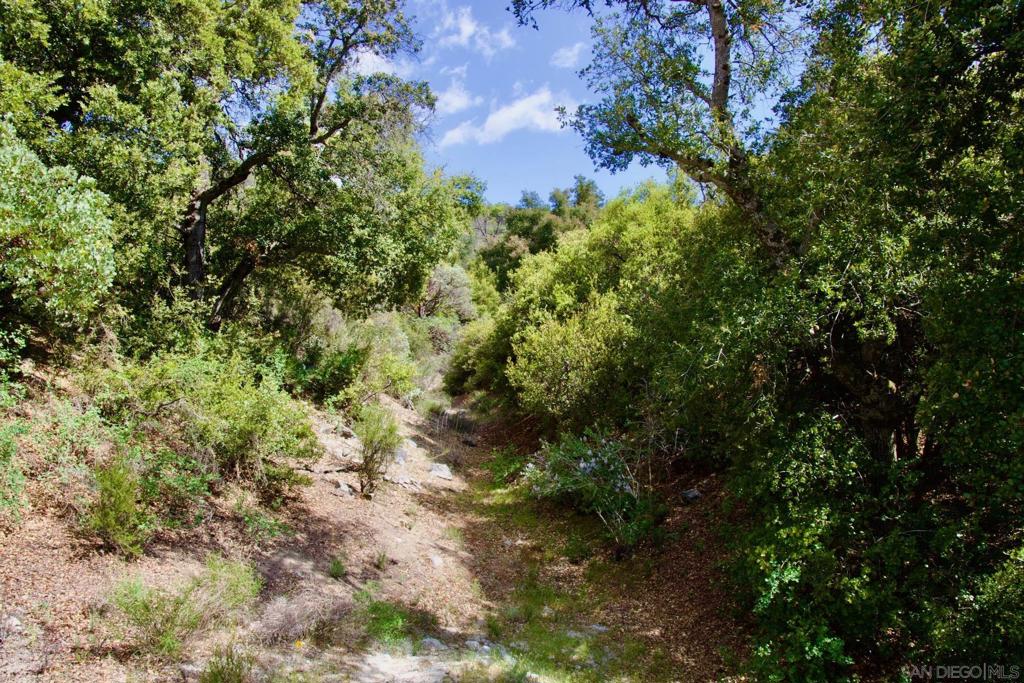 32137 Cerrada Del Coyote Property Photo 47