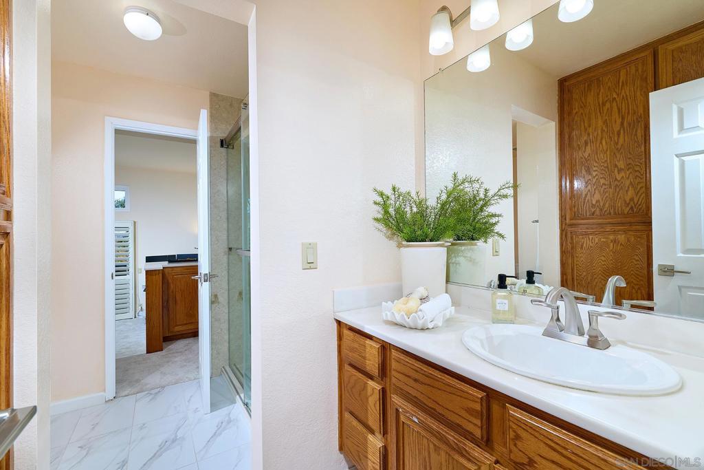 11037 Caminito Vista Pacifica Property Photo 40