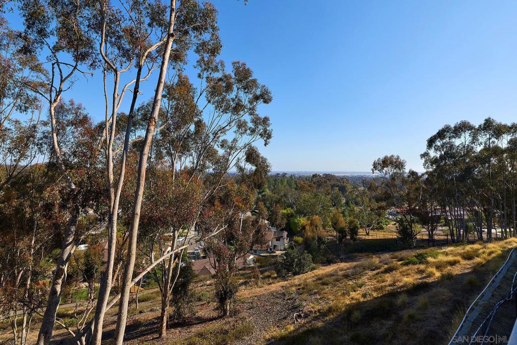 11037 Caminito Vista Pacifica Property Photo 45