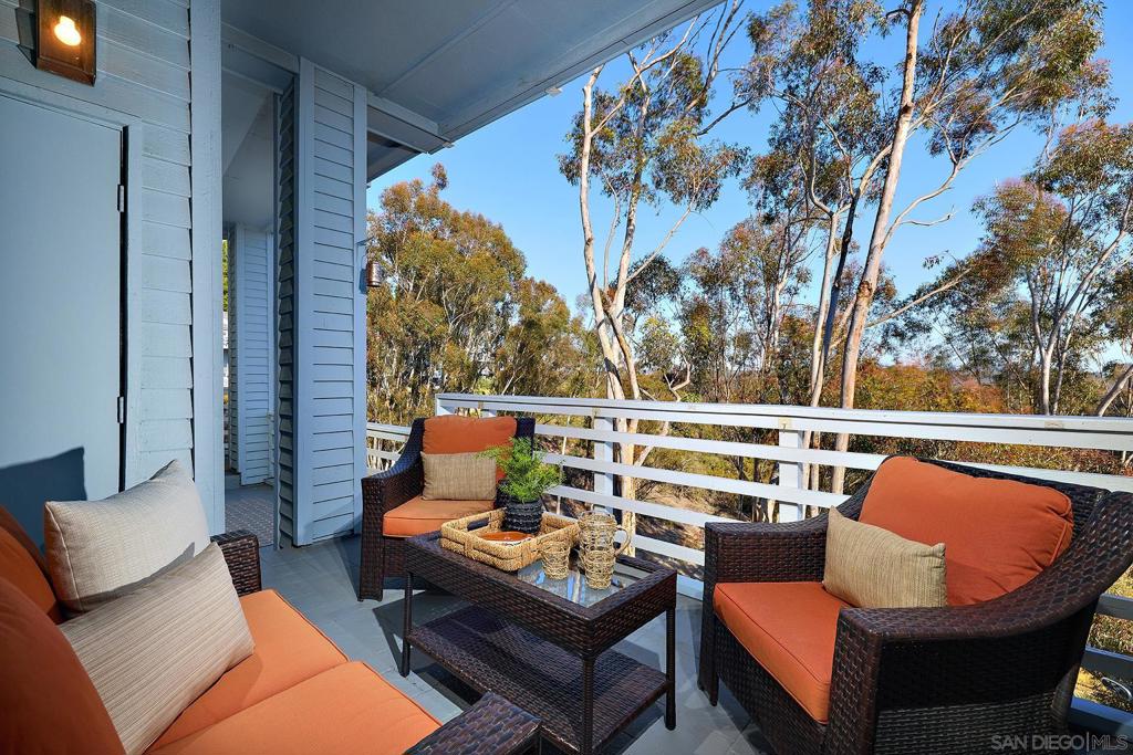 11037 Caminito Vista Pacifica Property Photo 47