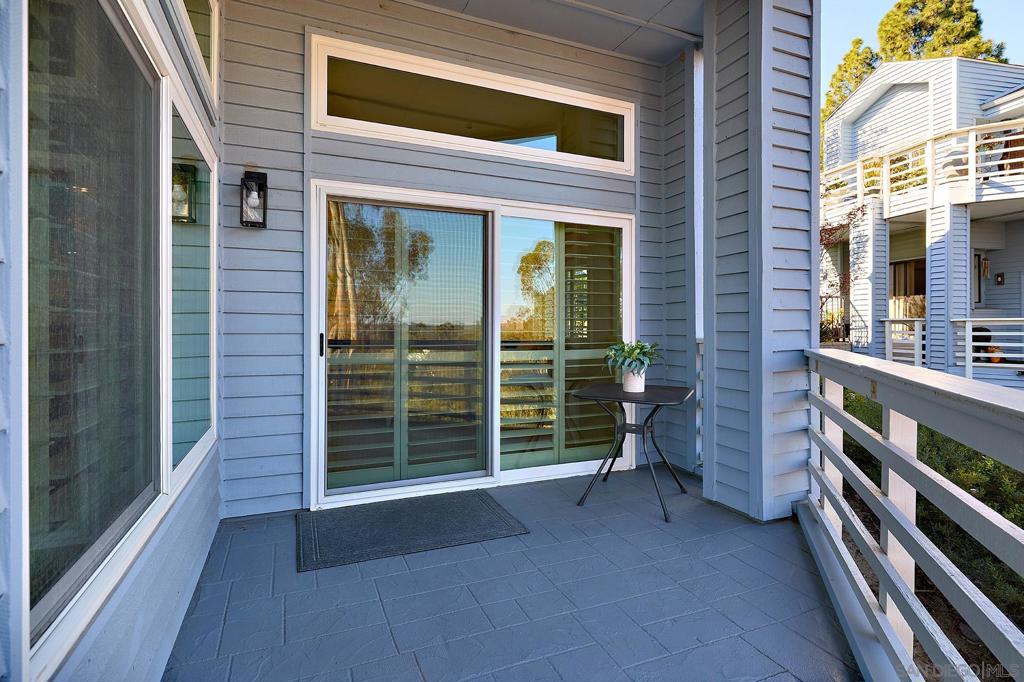 11037 Caminito Vista Pacifica Property Photo 48