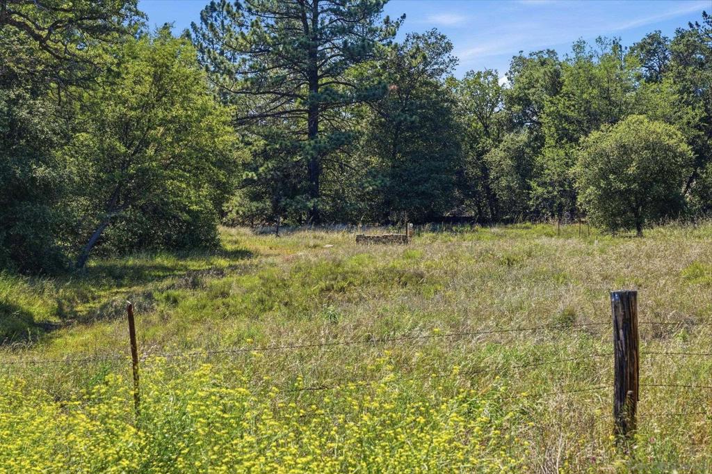 9474 Black Mountain Truck Trail Property Photo 35
