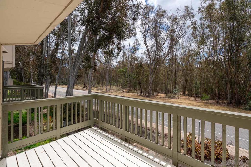 10247 Caminito Covewood Property Photo 15