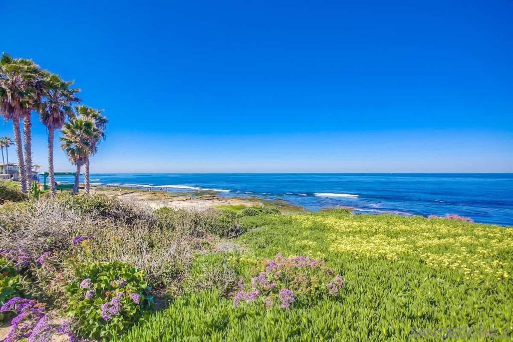 245 Coast D2 Property Photo 32
