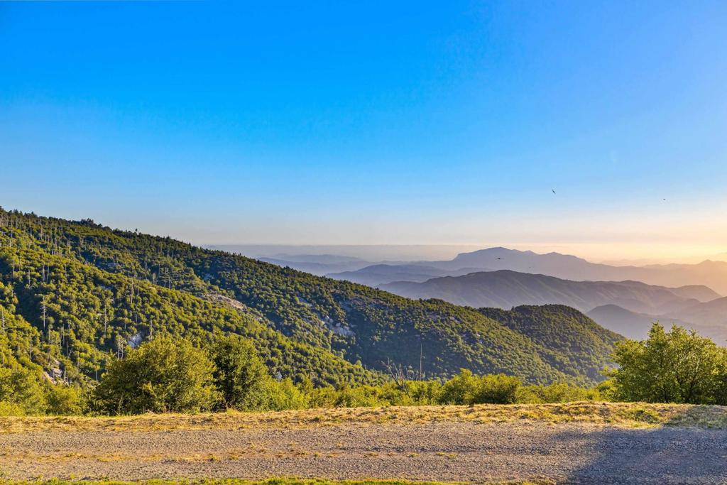 Highway 79 Property Photo 18