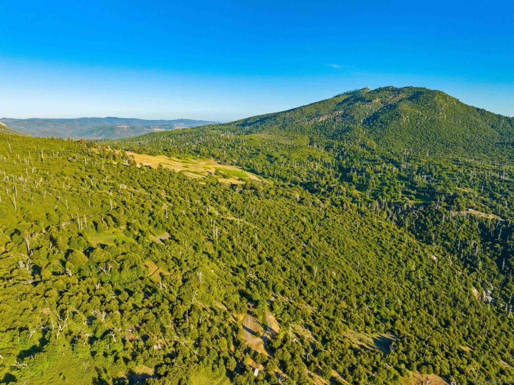 Highway 79 Property Photo 23