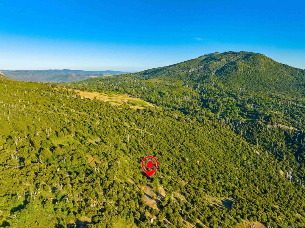 Highway 79 Property Photo 24