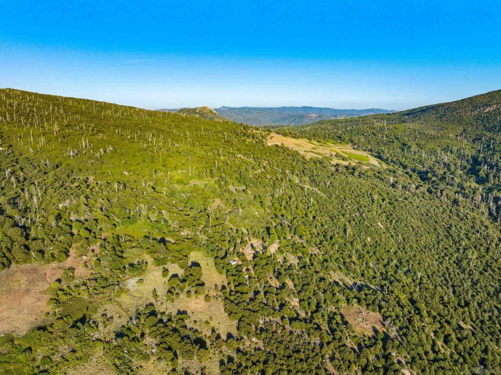 Highway 79 Property Photo 25