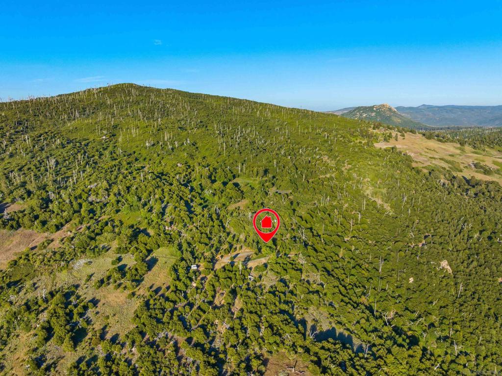 Highway 79 Property Photo 28