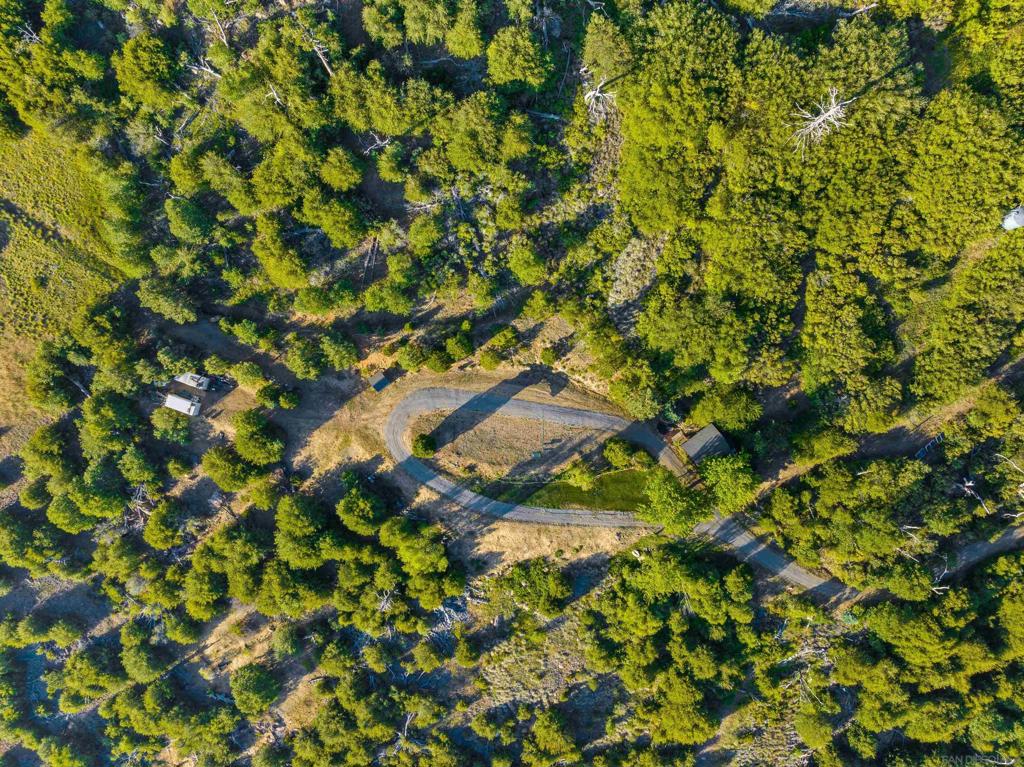 Highway 79 Property Photo 36