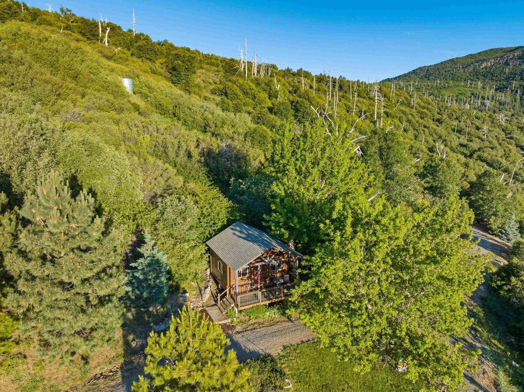 Highway 79 Property Photo 38