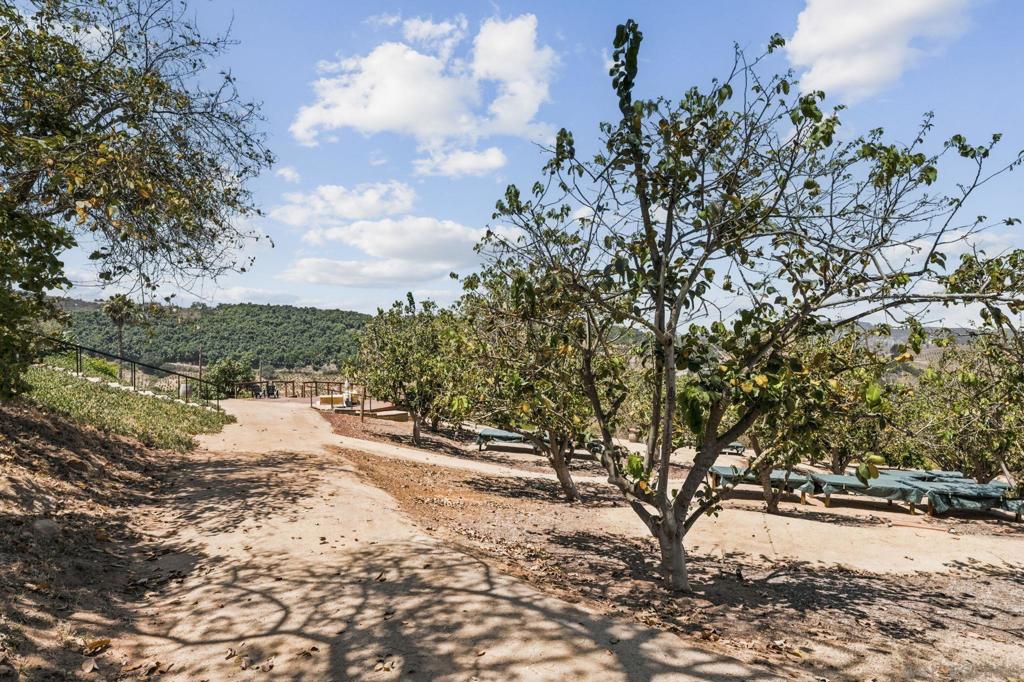 10889 San Gabriel Way Property Photo 51