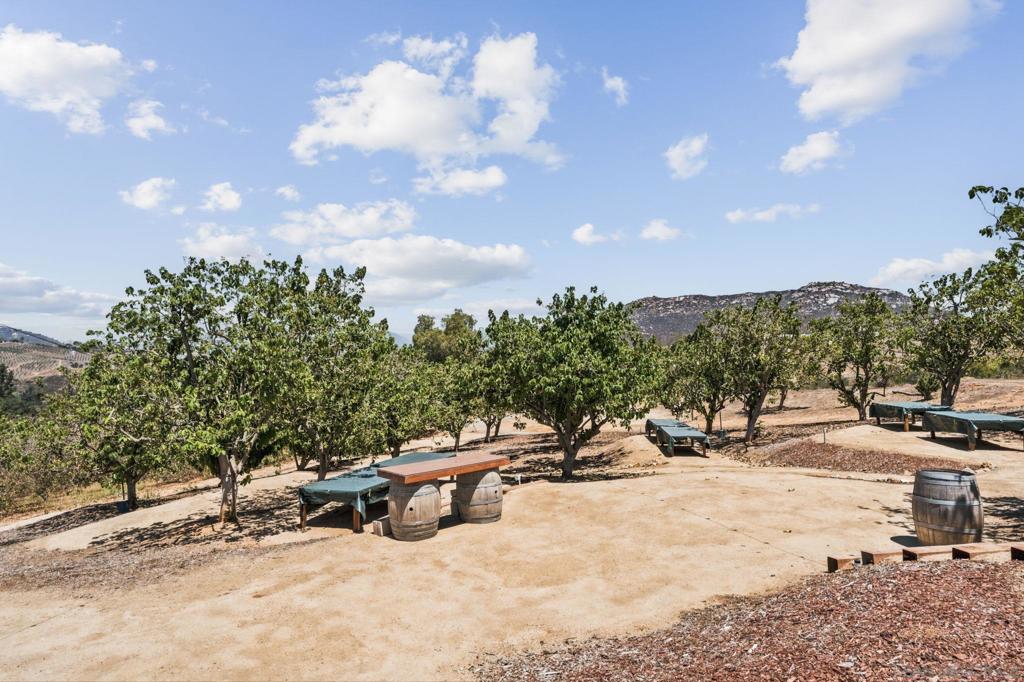 10889 San Gabriel Way Property Photo 52