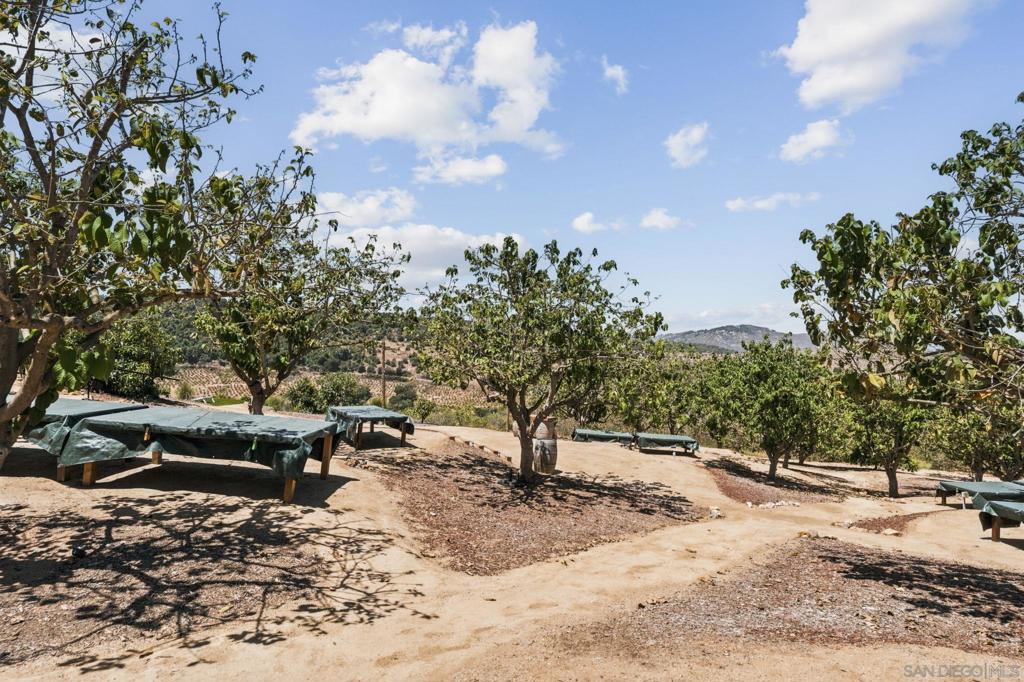 10889 San Gabriel Way Property Photo 53