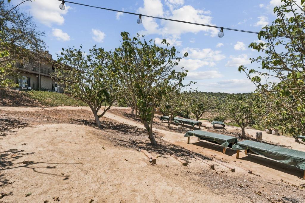 10889 San Gabriel Way Property Photo 54