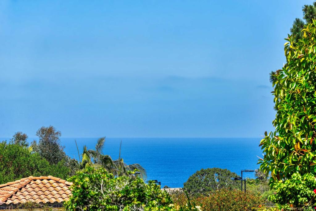 9603 La Jolla Farms Property Photo 37