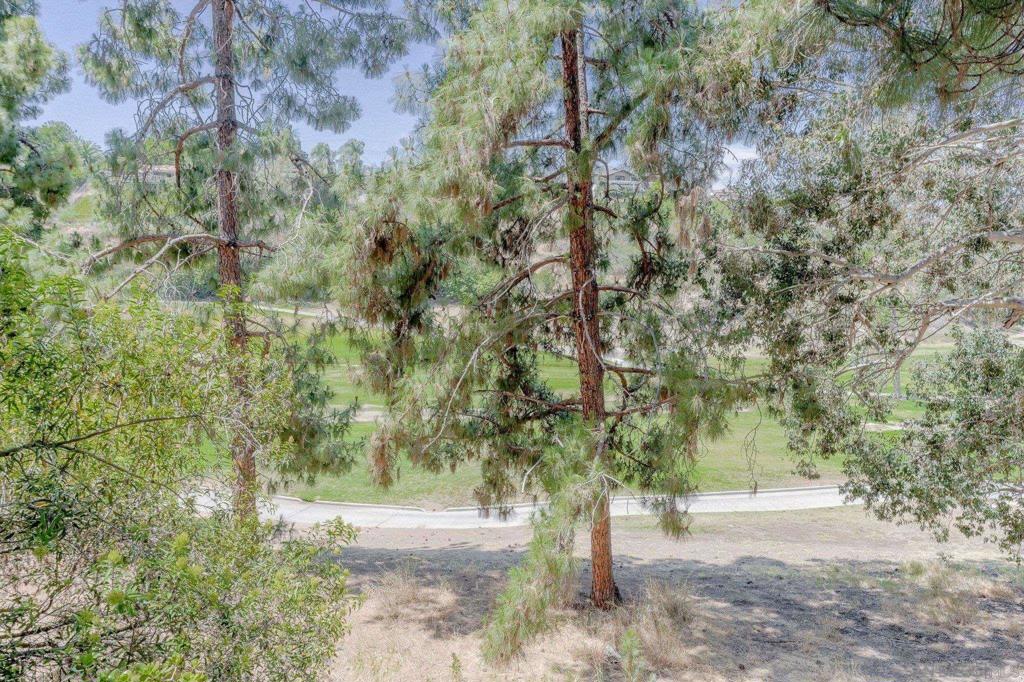 7835 Cowles Mountain Ct B6 Property Photo 48