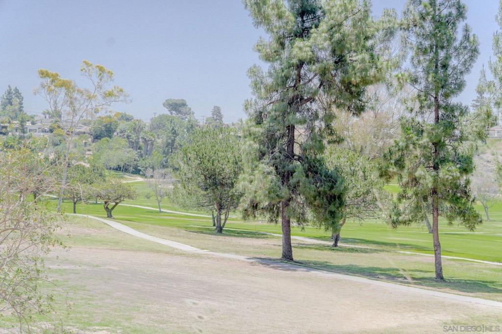 7835 Cowles Mountain Ct B6 Property Photo 50