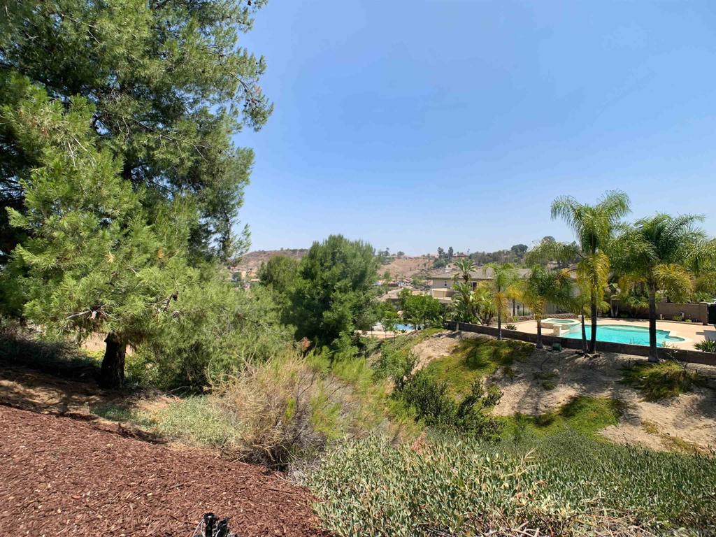 8836 Diamondback Dr Property Photo 46