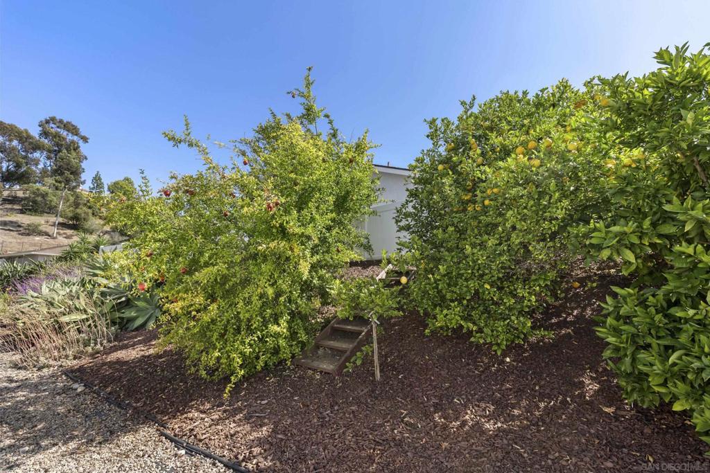 16172 Selva Dr Property Photo 32