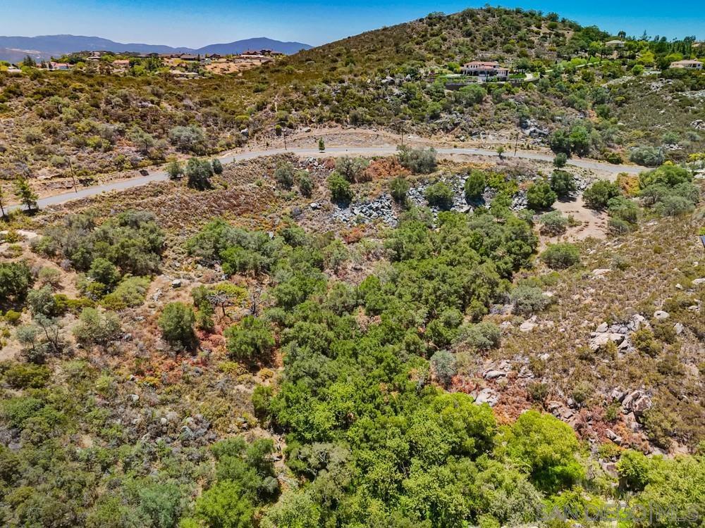 Via Viejas Oeste Property Photo 19