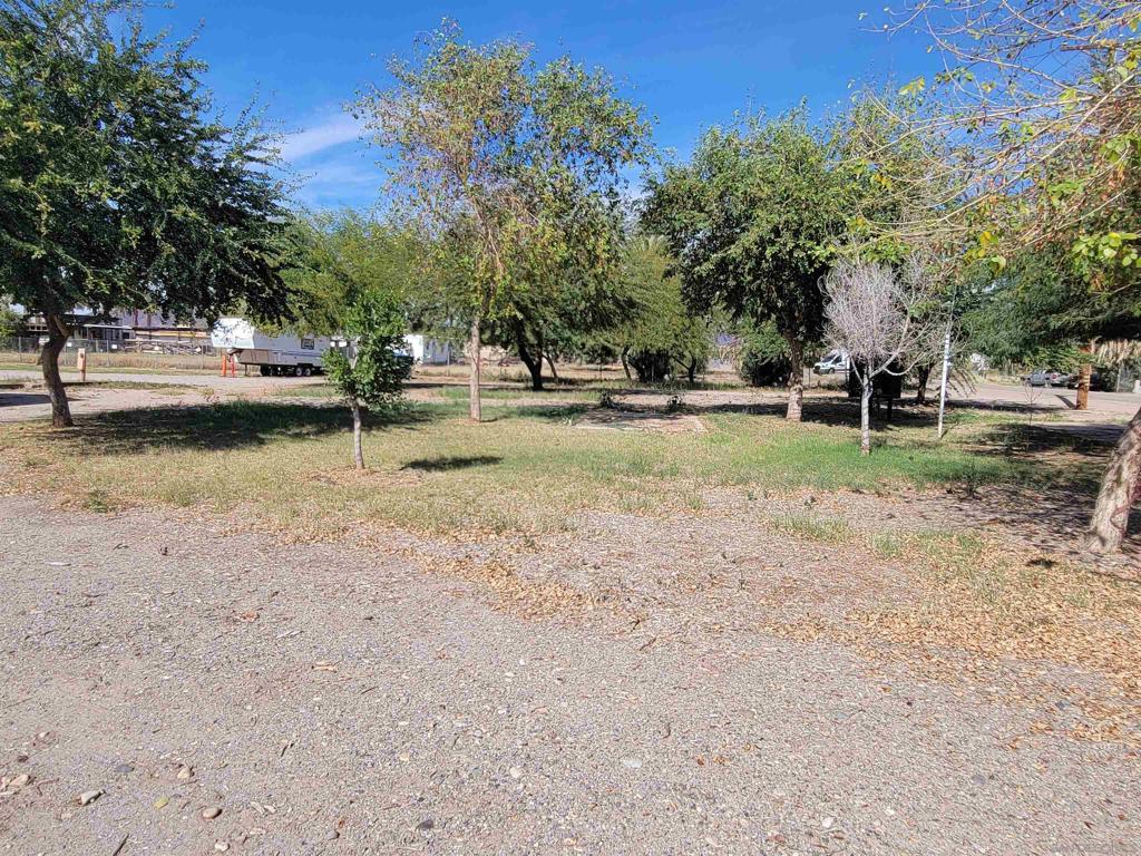 1425 York Dr Property Photo 17