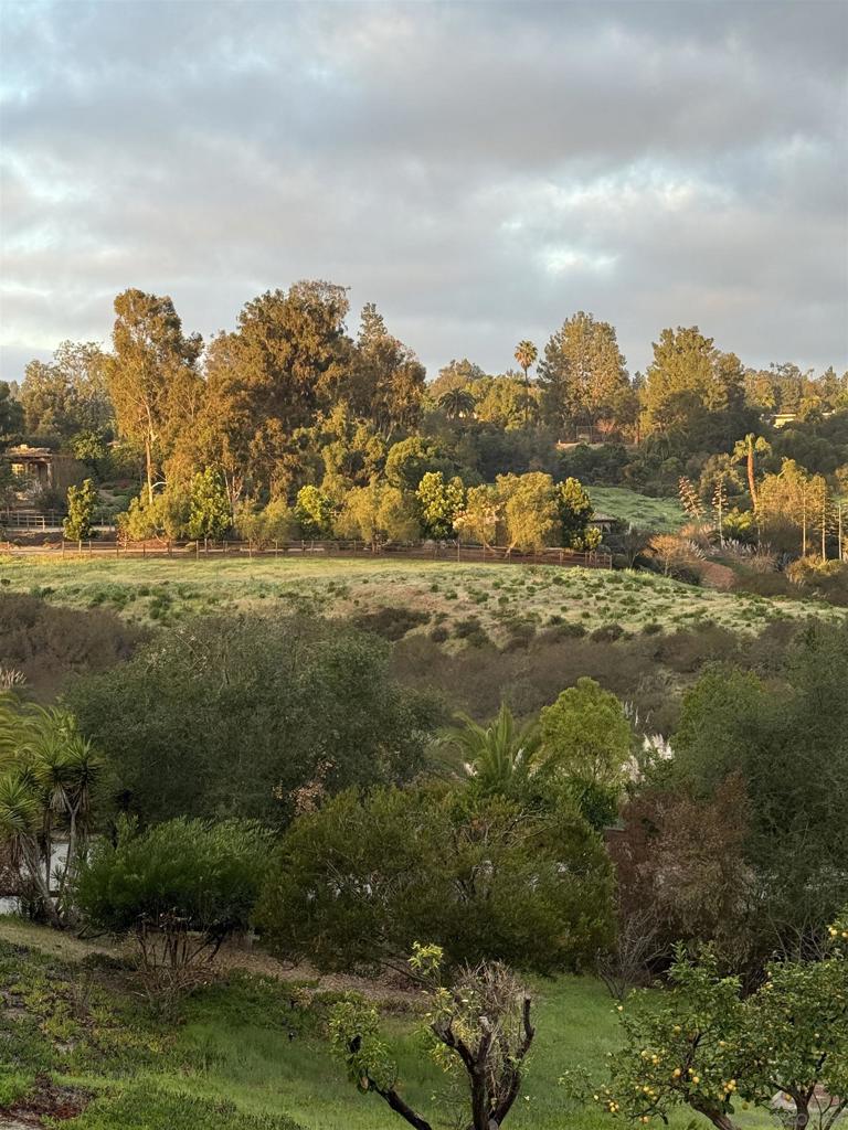 17335 Via Del Bravo Property Photo 45