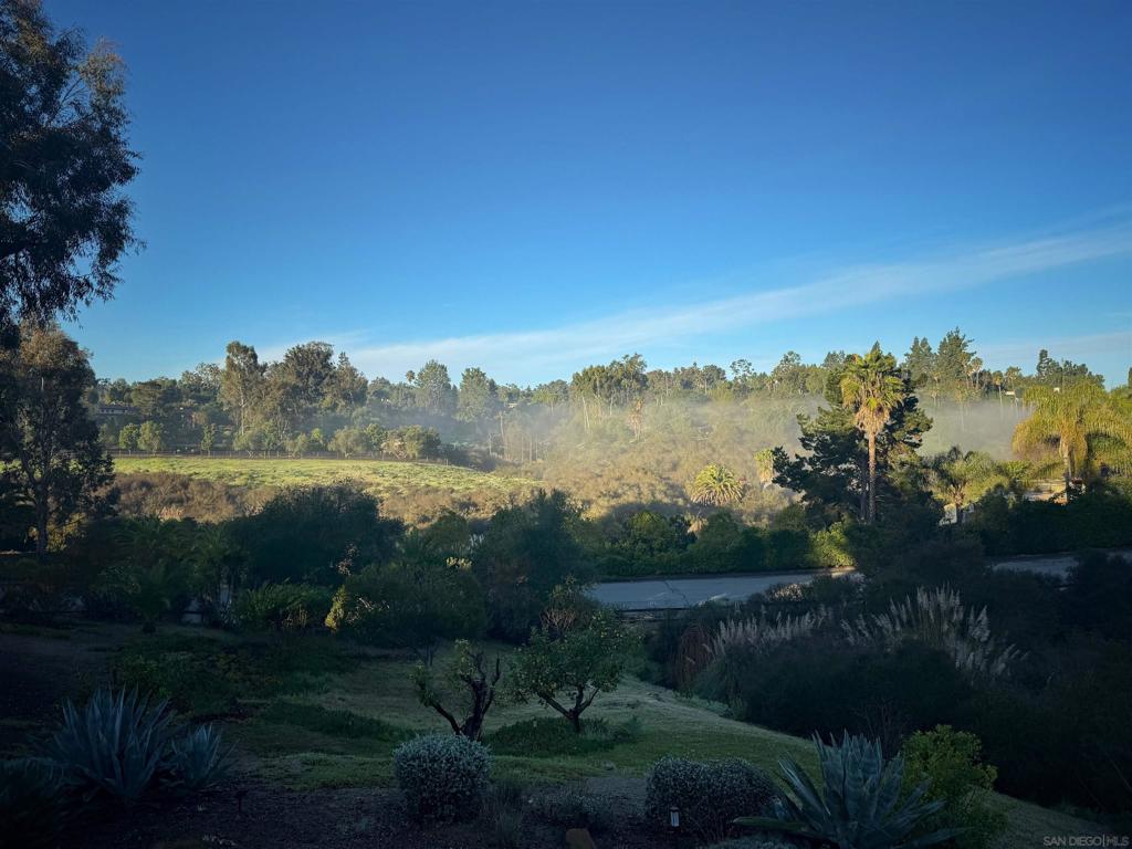 17335 Via Del Bravo Property Photo 47