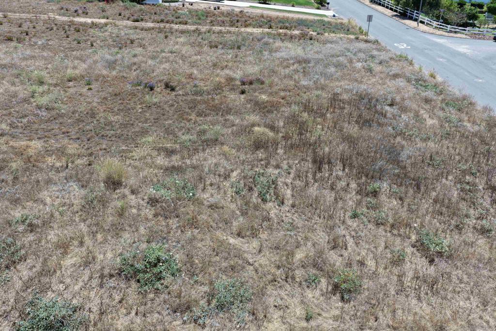 14444 Twin Peaks Rd Property Photo 38