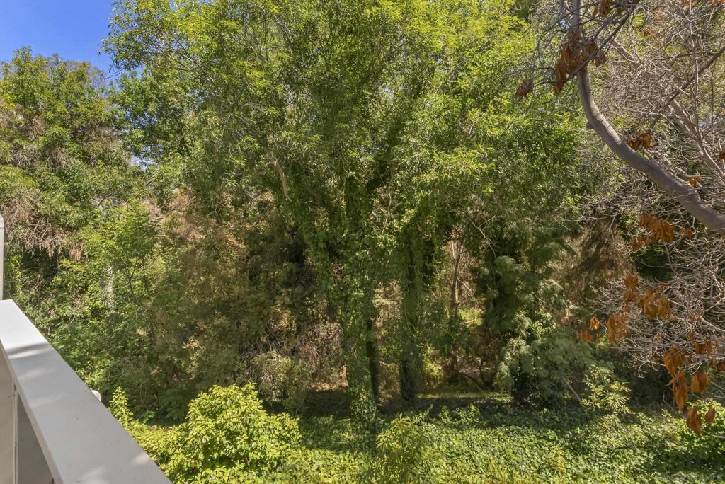 3118 Via De Caballo Property Photo 28