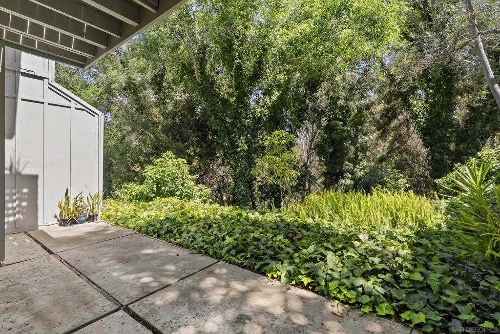 3118 Via De Caballo Property Photo 38