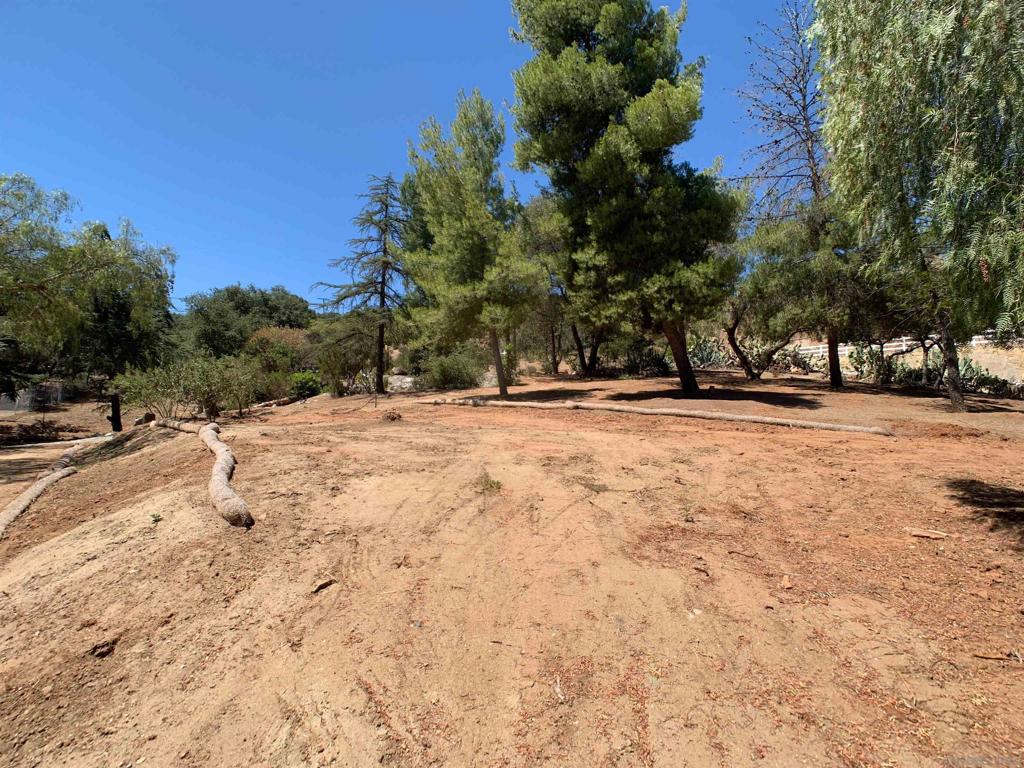 1815 Lilac Lane Property Photo 29
