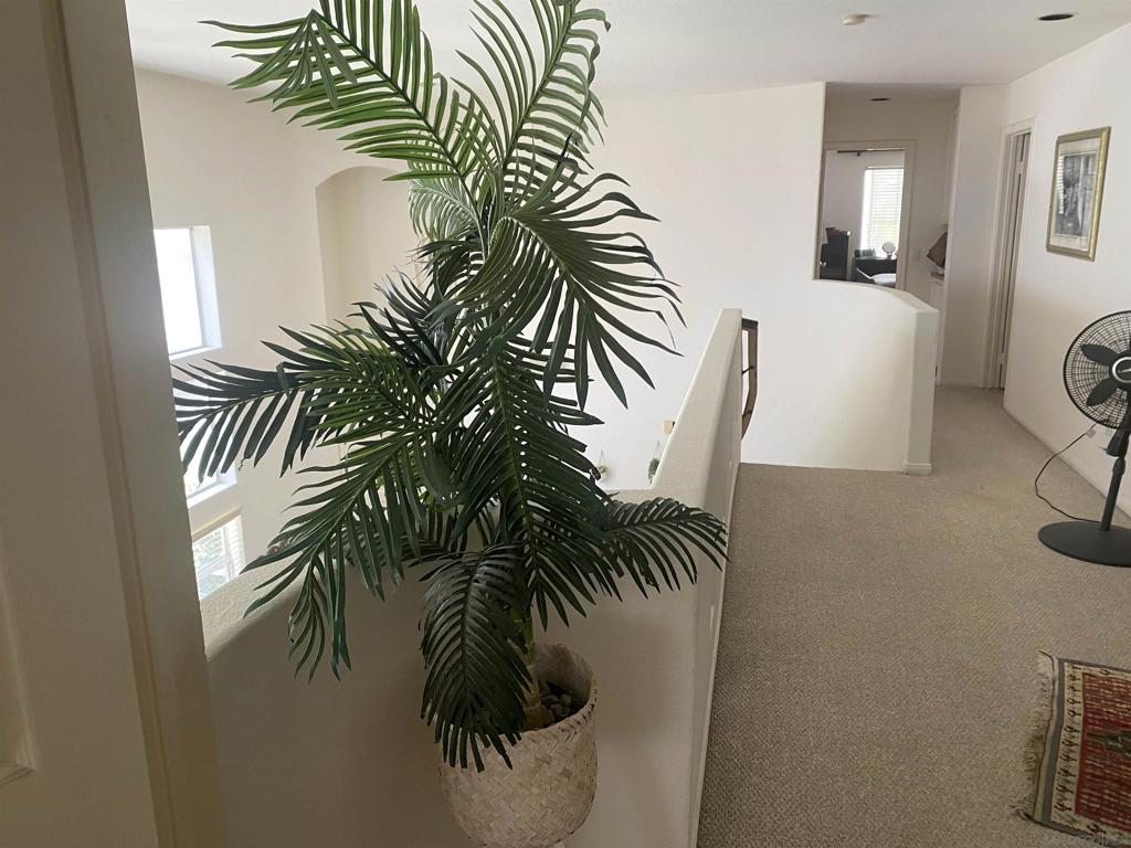 4534 Da Vinci St Property Photo 7