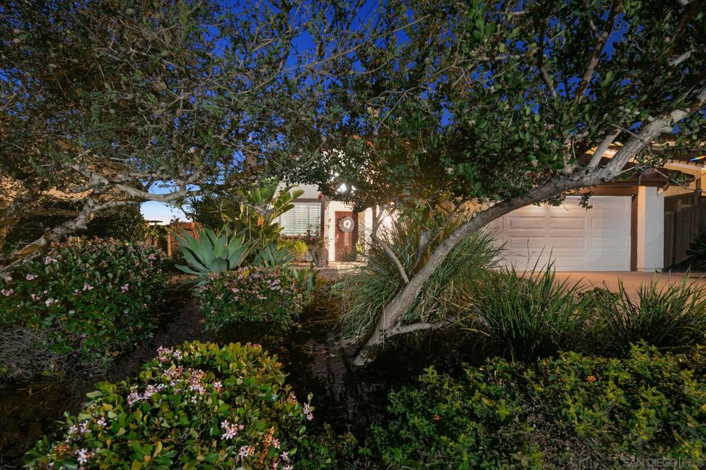 6433 La Paloma St Property Photo 5