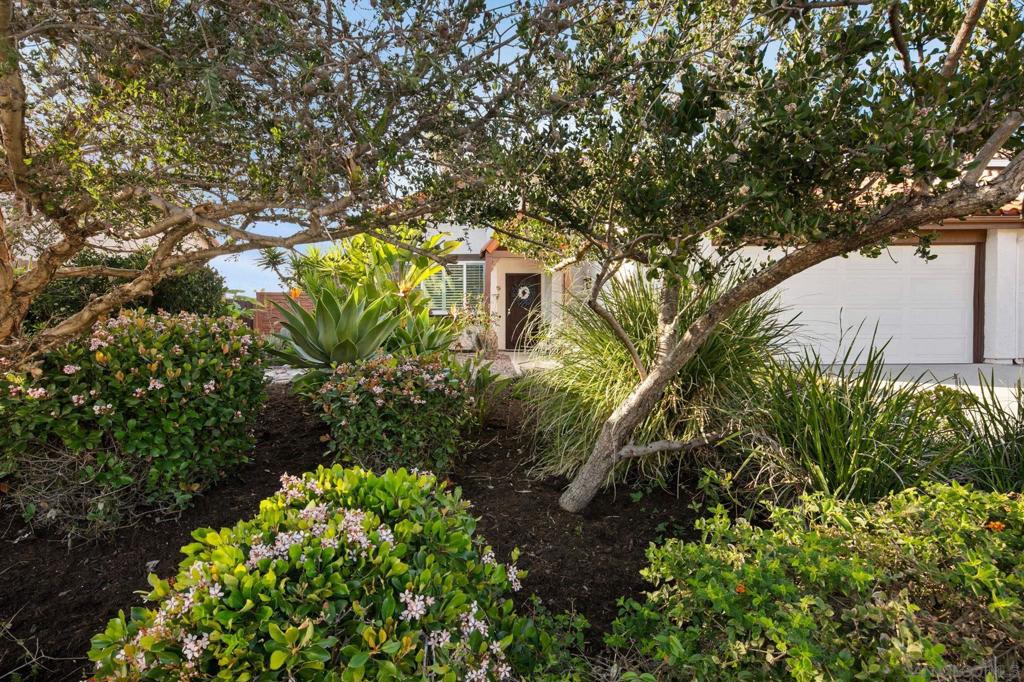 6433 La Paloma St Property Photo 56
