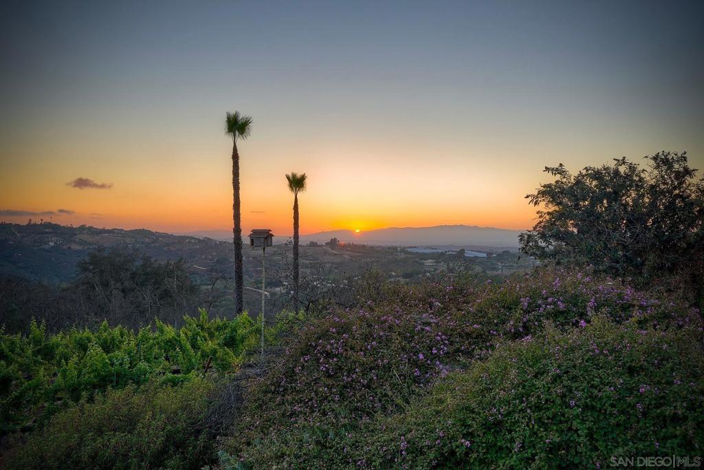 30388 Castlecrest Property Photo 40