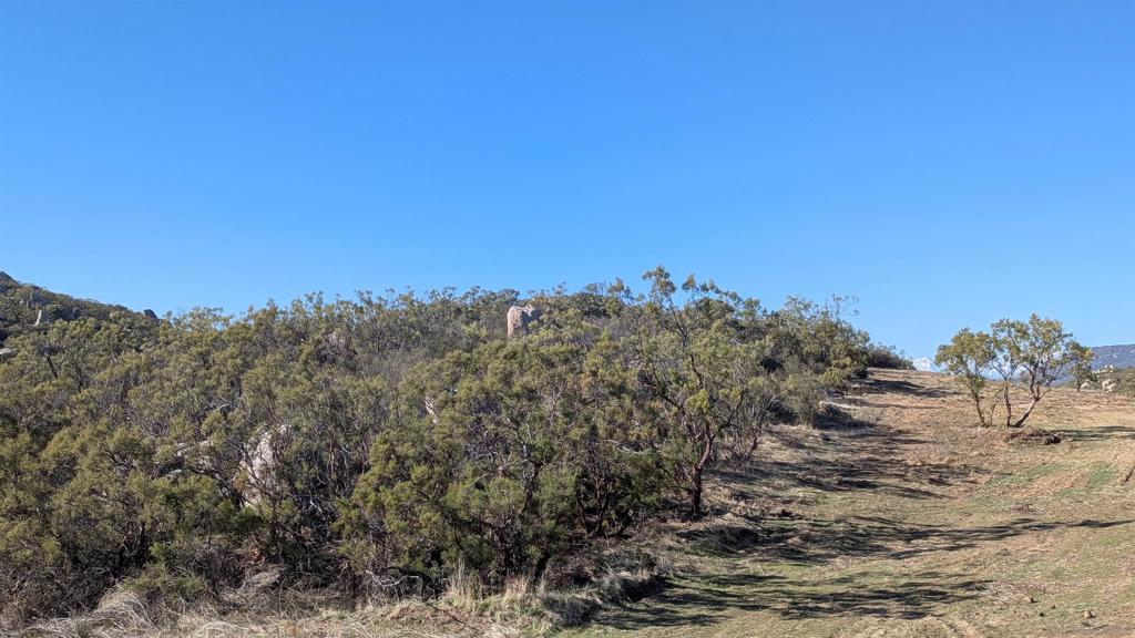 778 Crazy Horse Canyon Property Photo 4