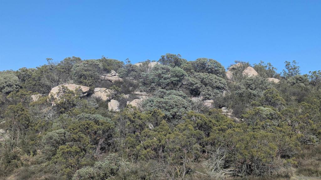 778 Crazy Horse Canyon Property Photo 5