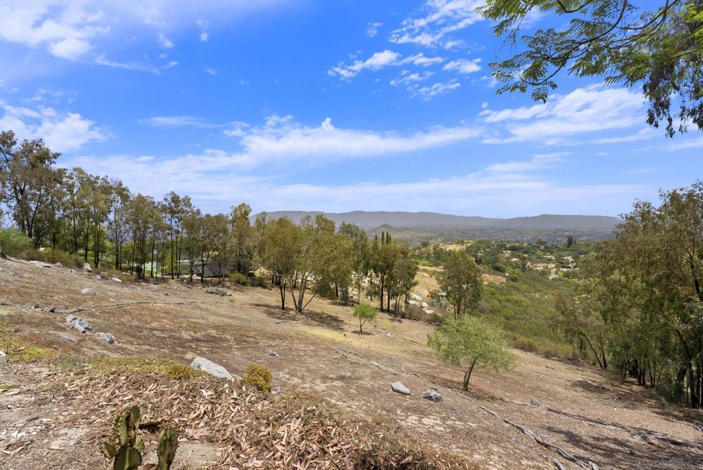 28455 Meadow Mesa Property Photo 63