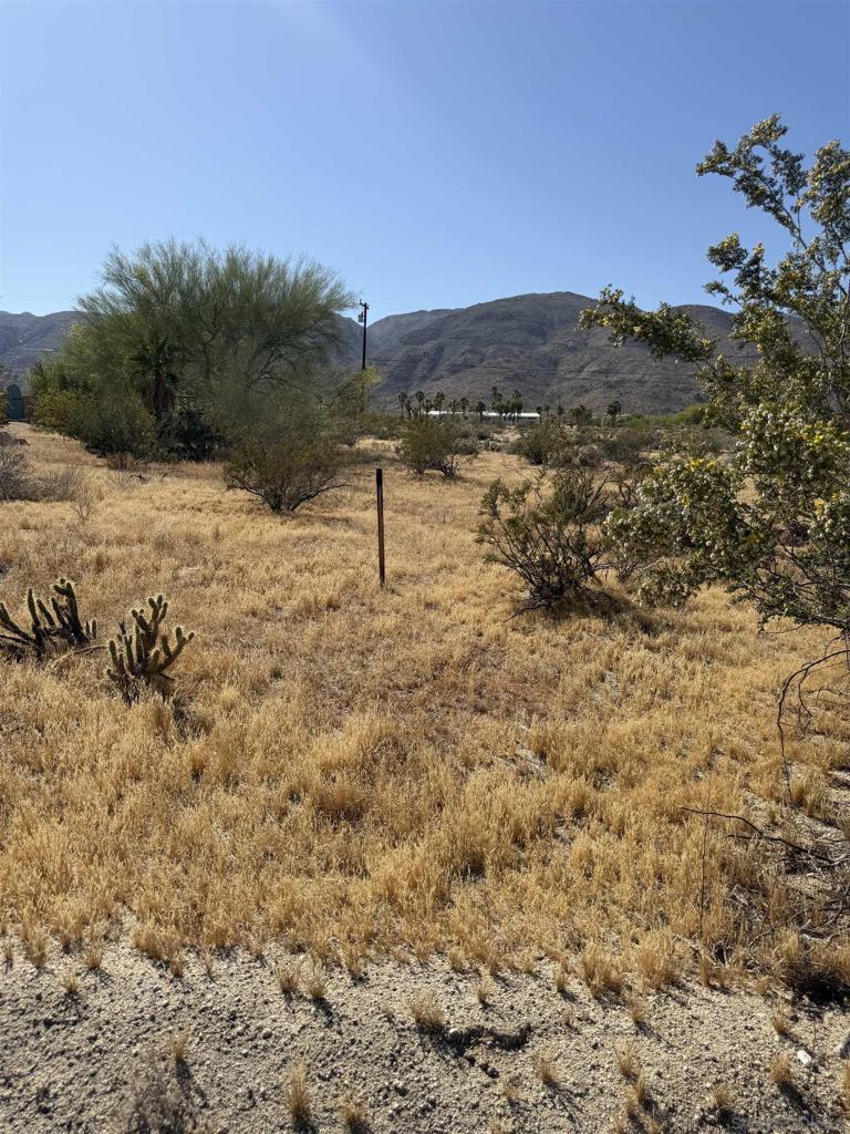 Broken Arrow Property Photo 6